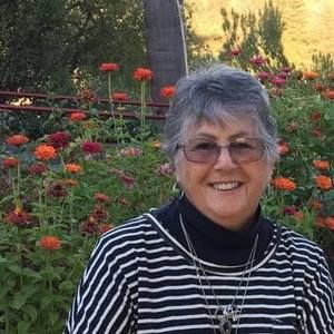 Meet your Posher, Anne